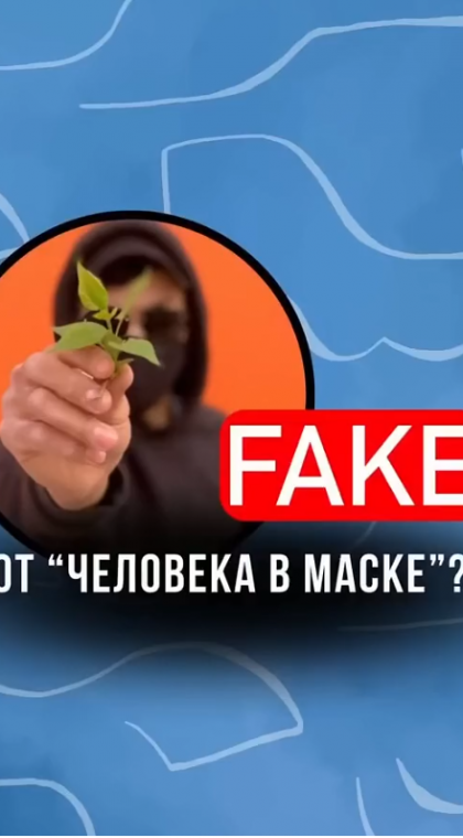 Лжеинвестиционный проект | 